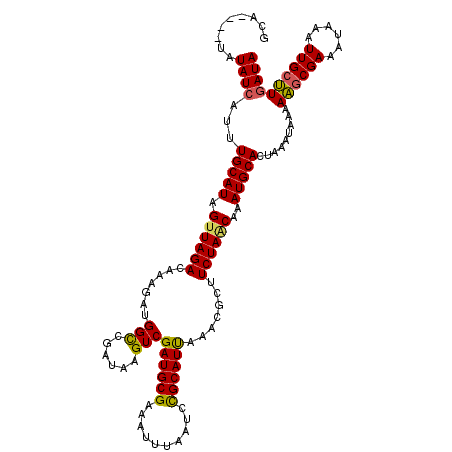 secondary structure