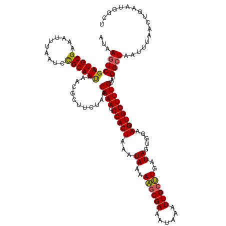 secondary structure