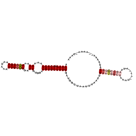 secondary structure