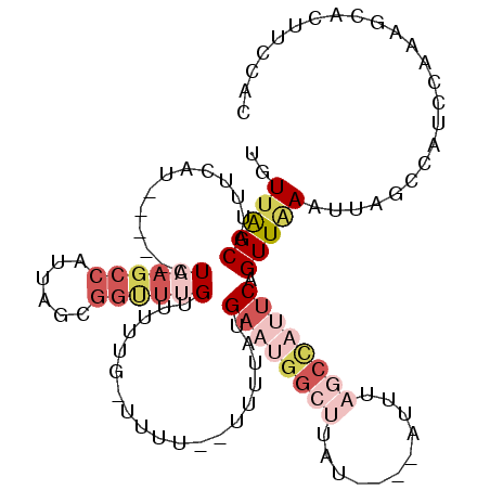 secondary structure