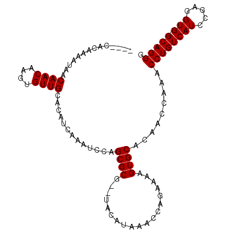 secondary structure