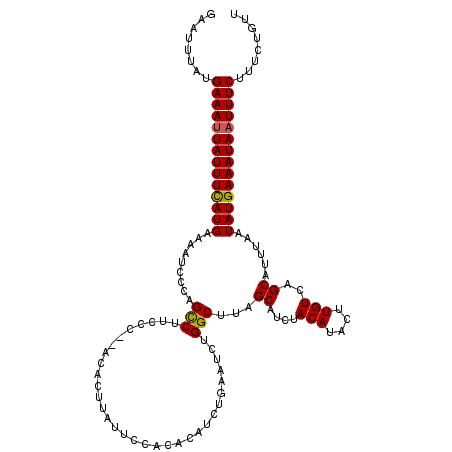 secondary structure