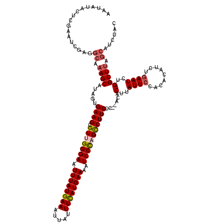 secondary structure