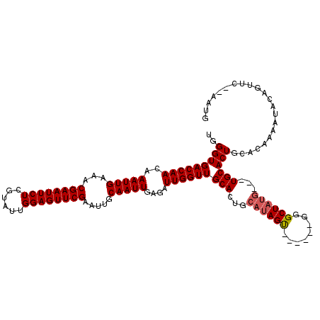 secondary structure