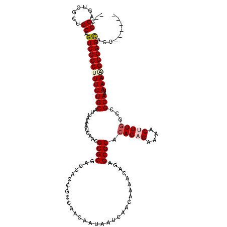 secondary structure
