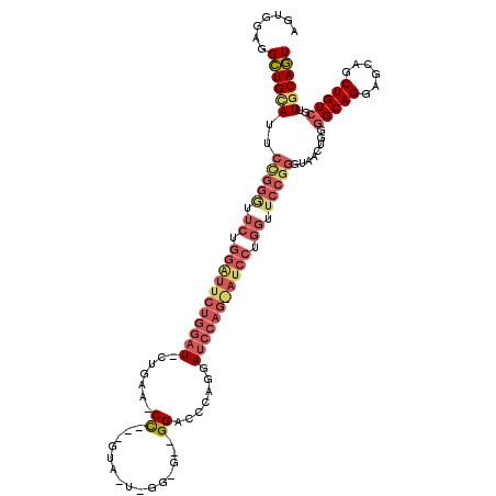 secondary structure