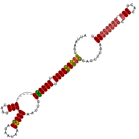 secondary structure