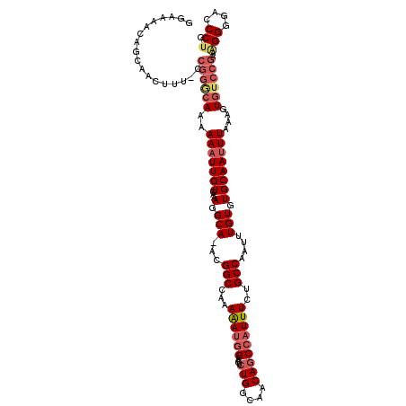 secondary structure