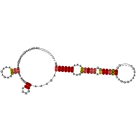 secondary structure
