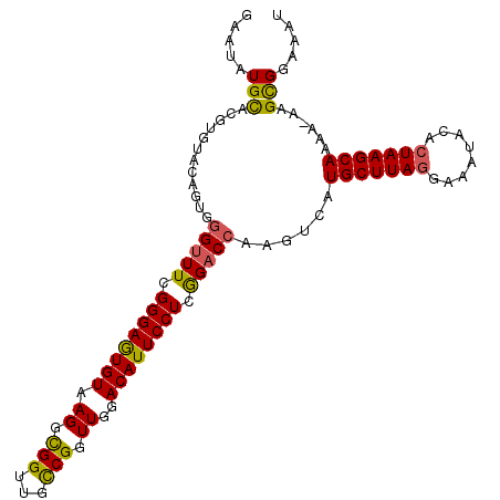 secondary structure