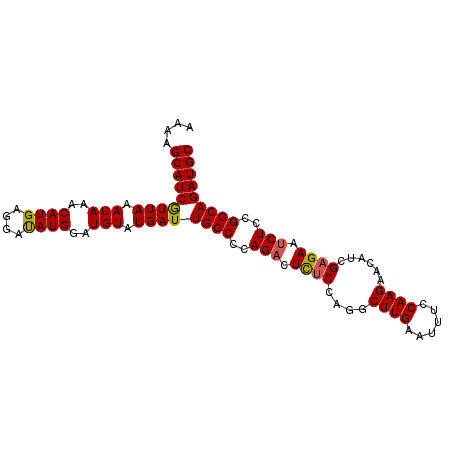 secondary structure