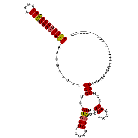 secondary structure