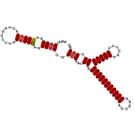 secondary structure