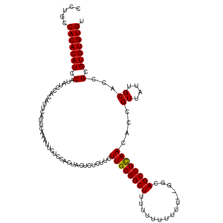 secondary structure