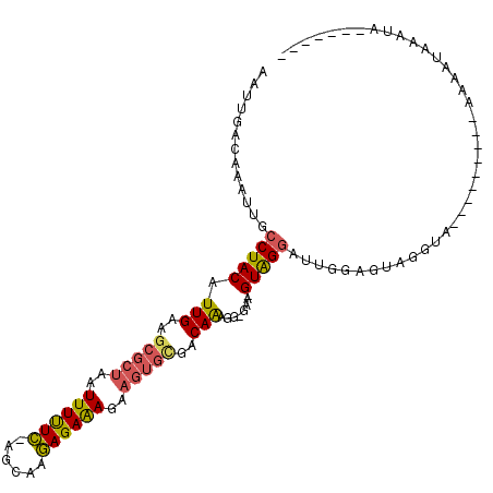 secondary structure