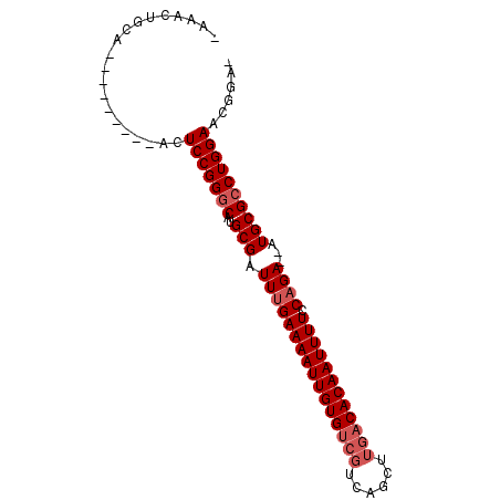 secondary structure