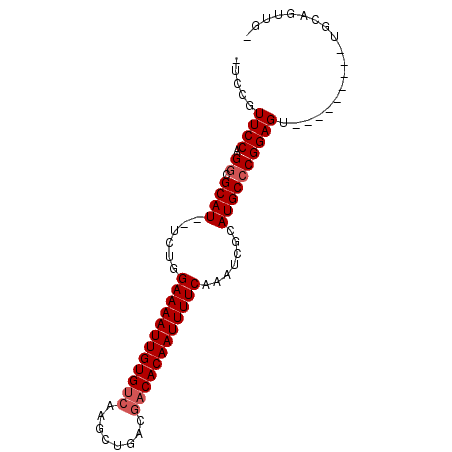 secondary structure