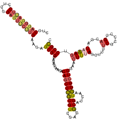 secondary structure