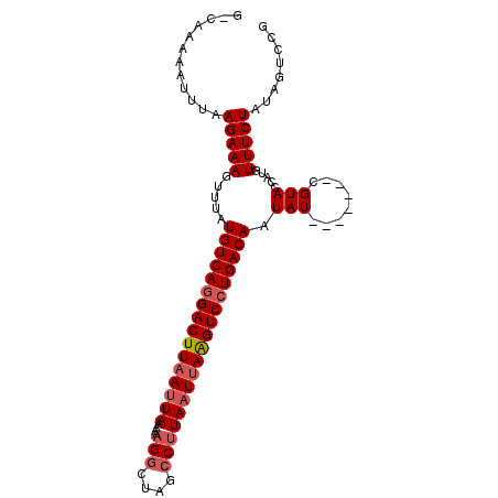 secondary structure