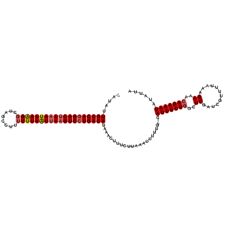 secondary structure
