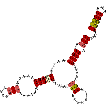 secondary structure