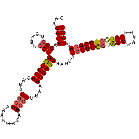secondary structure