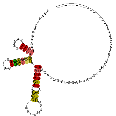 secondary structure