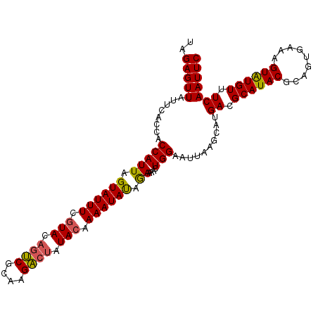 secondary structure