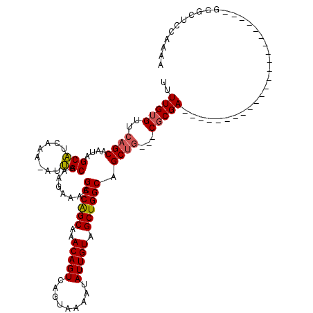 secondary structure