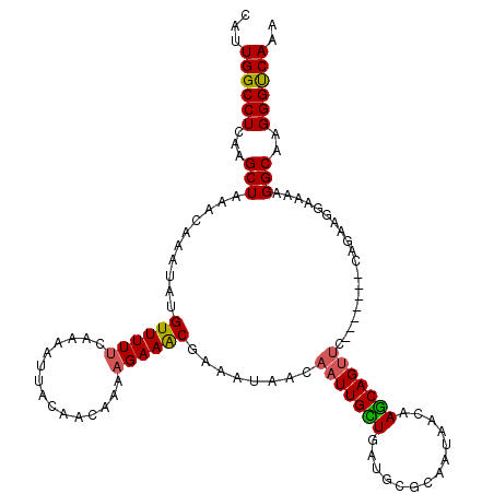 secondary structure