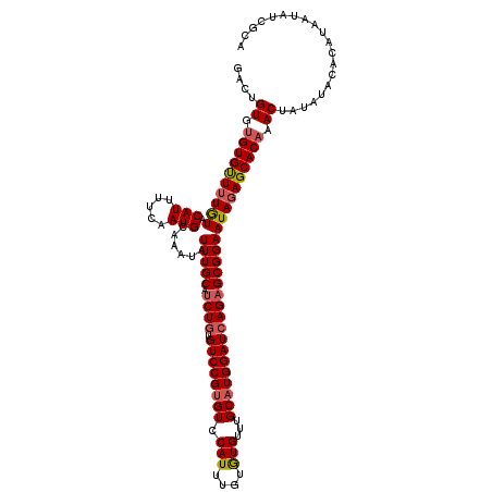 secondary structure
