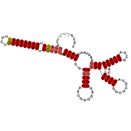 secondary structure