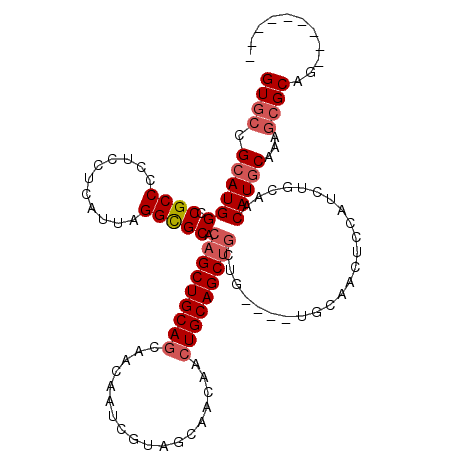 secondary structure