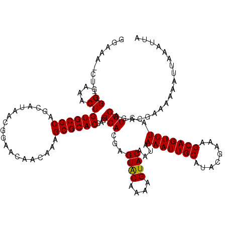 secondary structure