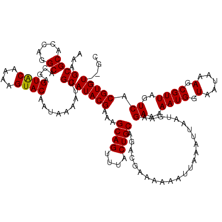 secondary structure