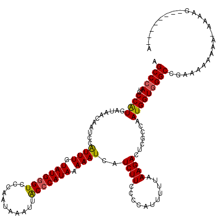 secondary structure