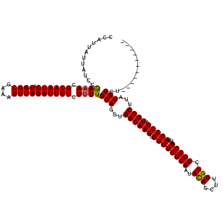 secondary structure