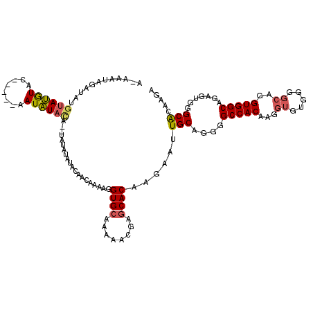 secondary structure