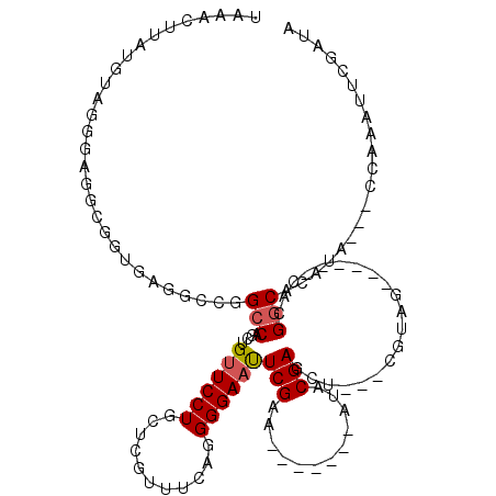 secondary structure