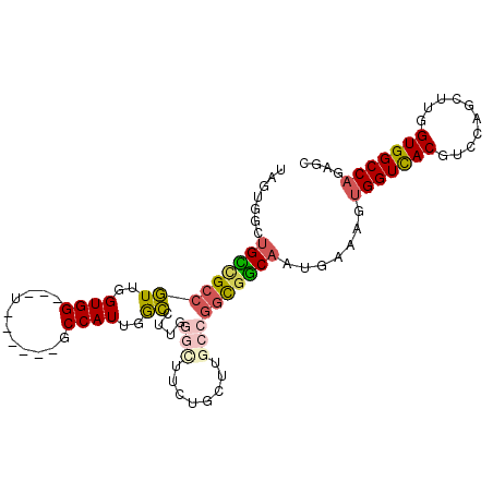 secondary structure