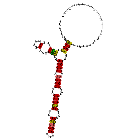 secondary structure