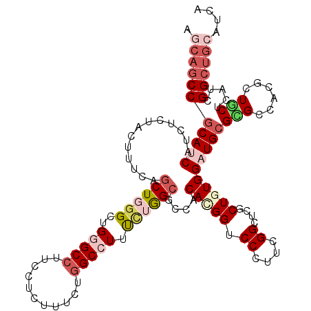 secondary structure