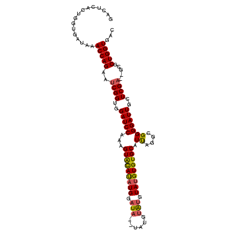 secondary structure