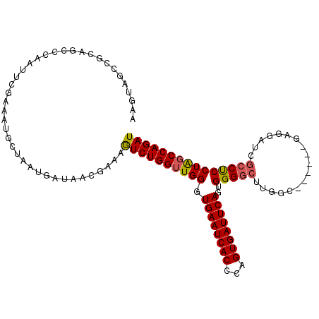secondary structure