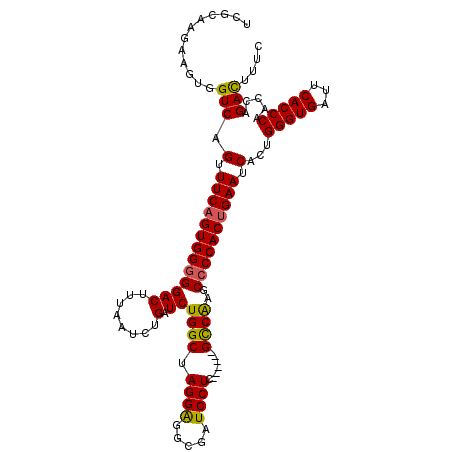 secondary structure