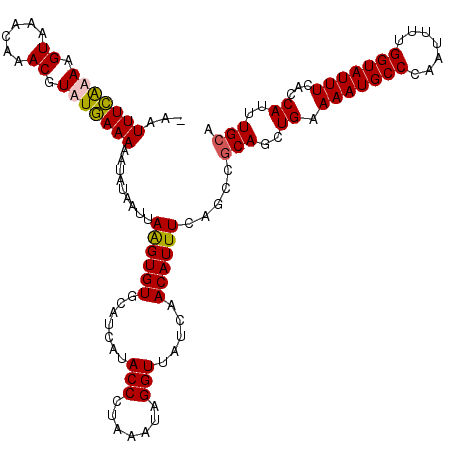 secondary structure