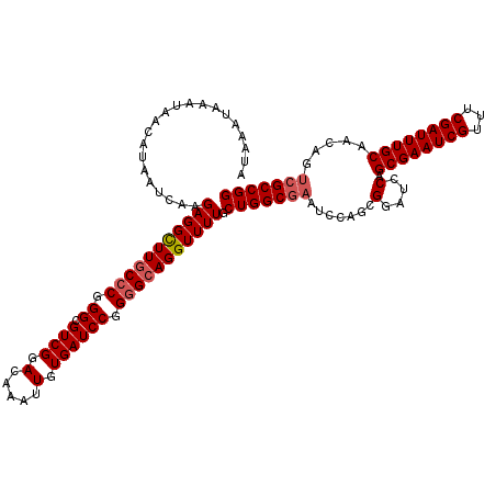 secondary structure