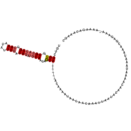 secondary structure