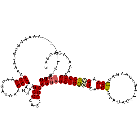 secondary structure