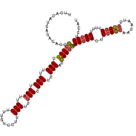 secondary structure